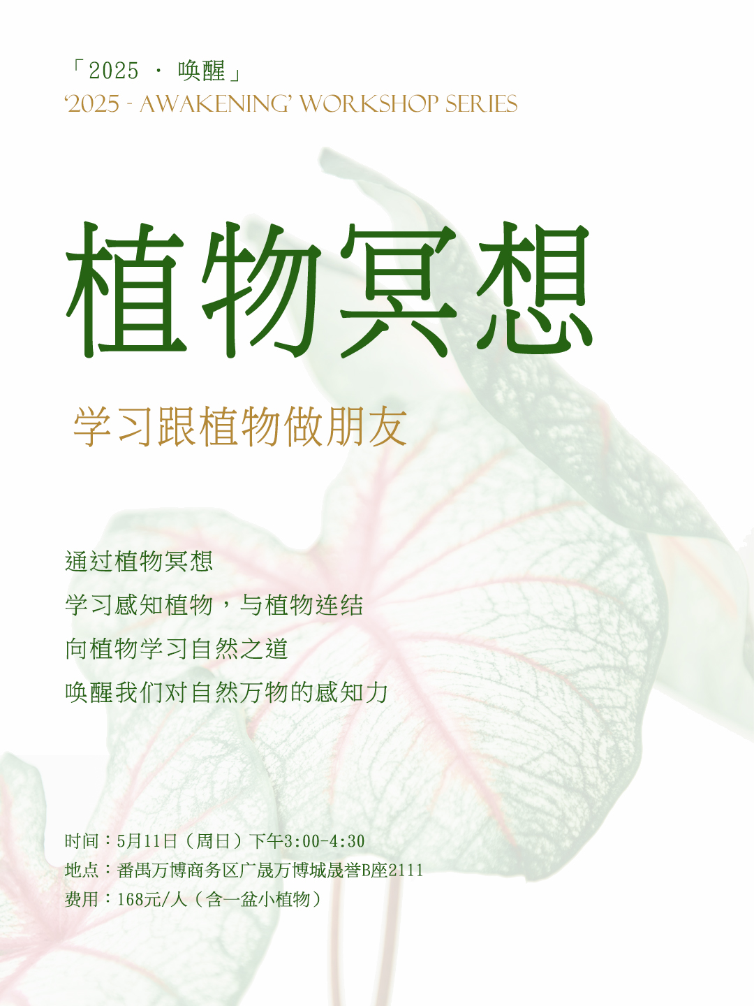 5.11 植物冥想-广州 活动代理.jpg