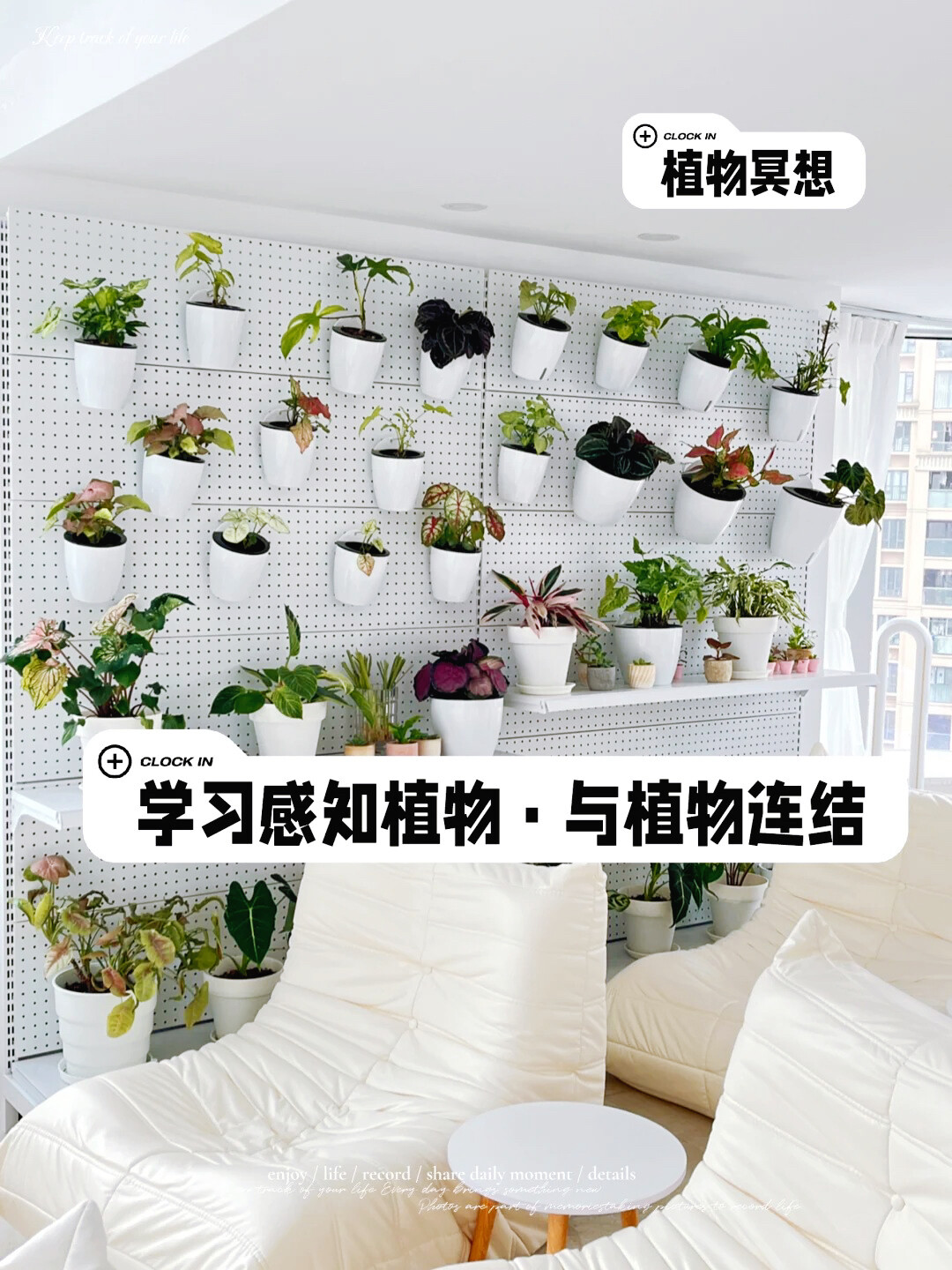 重点配图 (1).jpg