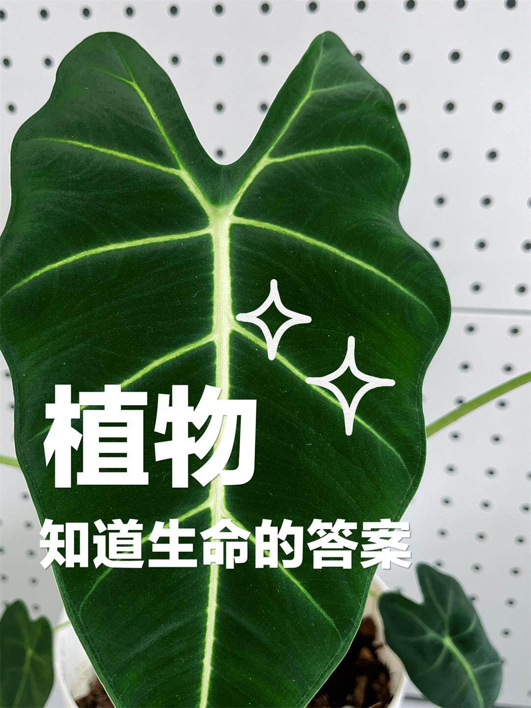 微信图片_20250424160540.jpg