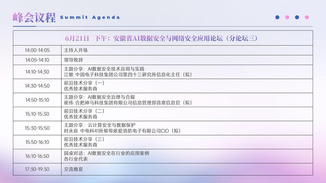 2025第七届安徽省首席信息官（夏季）峰会招商方案_13.png