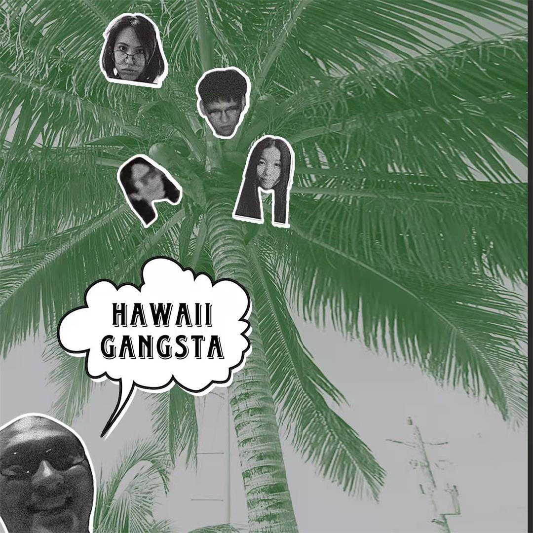 Hawaii Gangsta .jpeg
