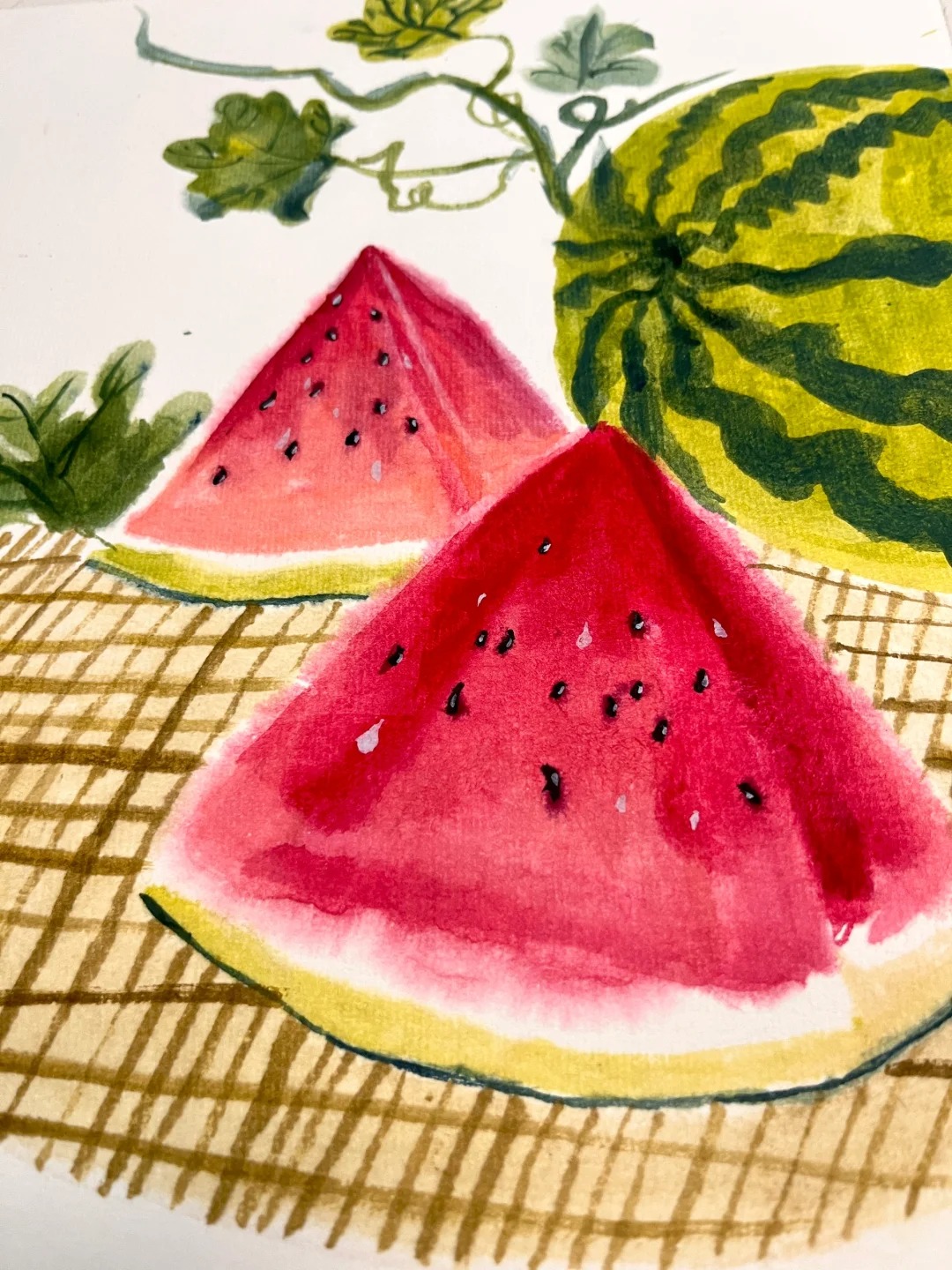 西瓜🍉_4_月亮🌙和冬青🌿_来自小红书网页版.jpg