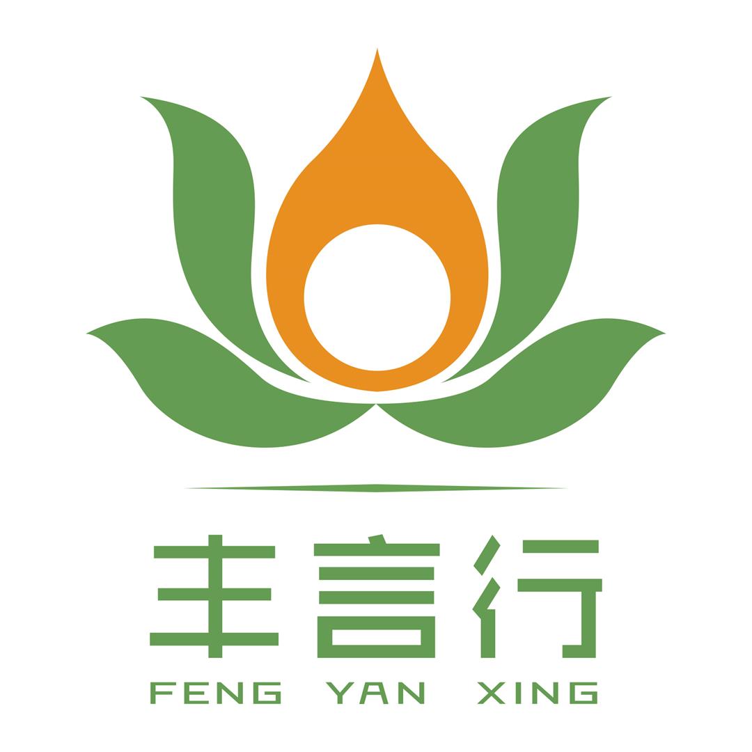 丰言行LOGO-正.jpg