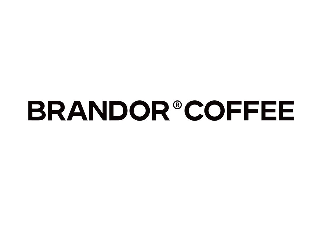 BRANDOR-logo简本_画板 1 副本 2.jpg