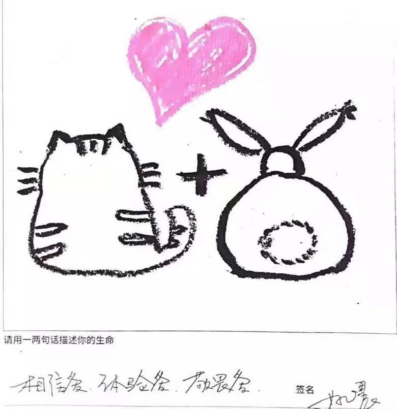 姚晨.jpg
