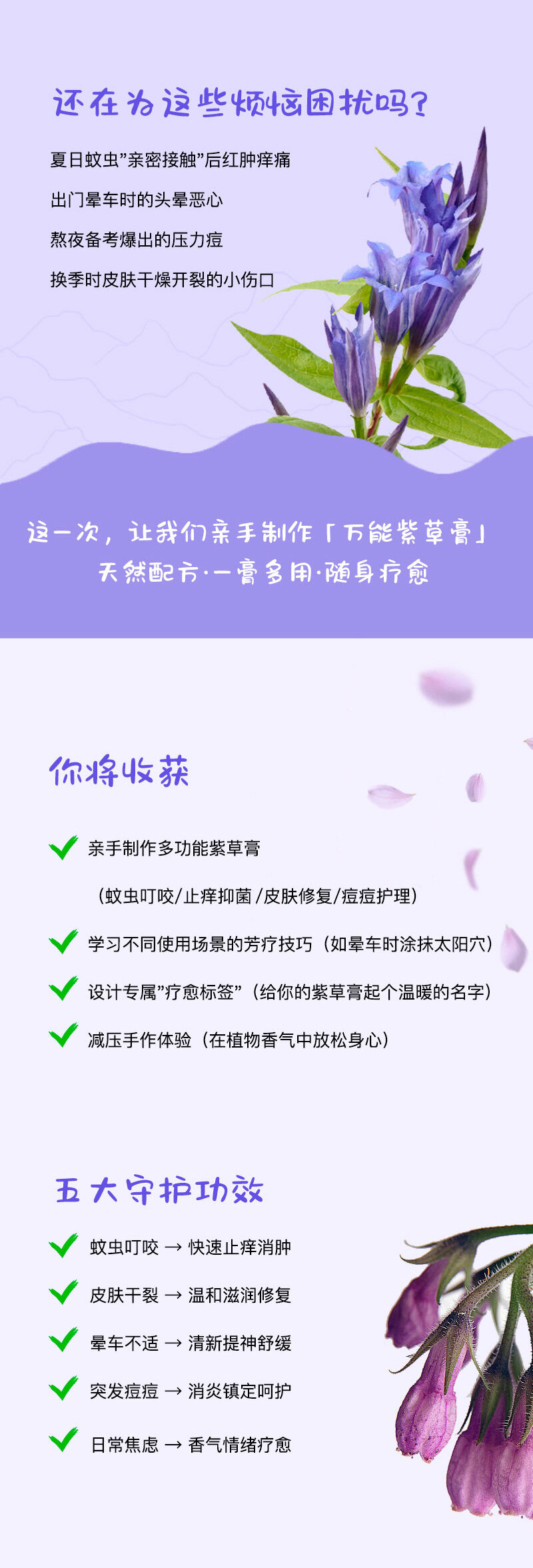 紫草膏详情页_02.jpg
