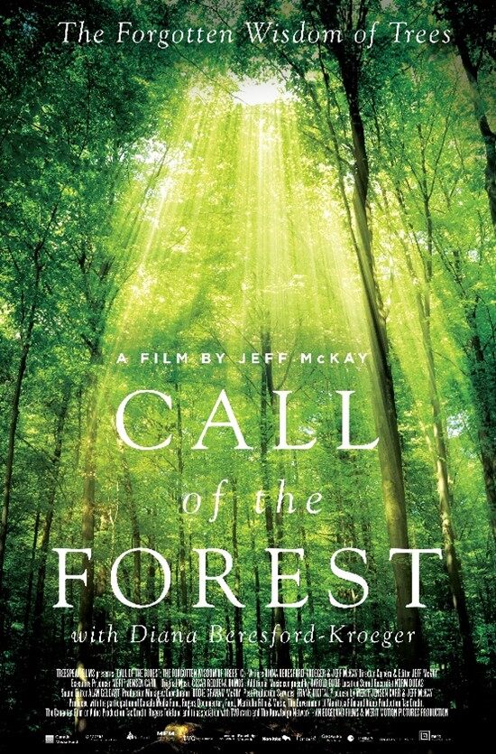 call of the forest.jpg