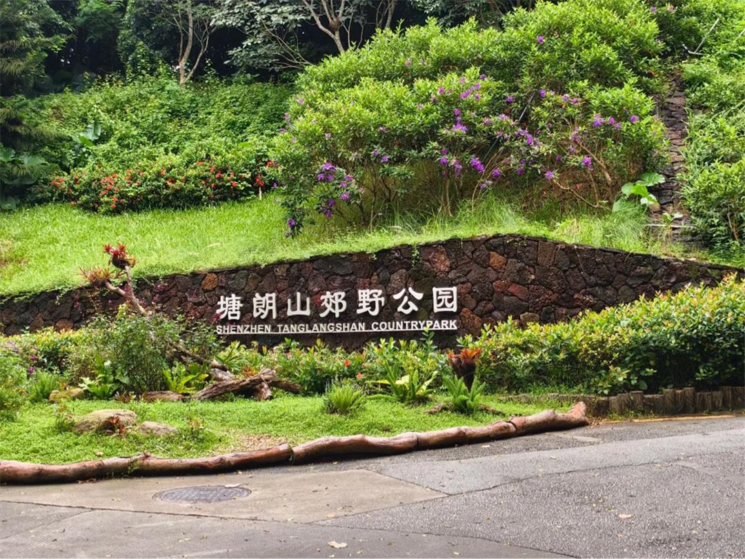 微信图片_20250506143342.jpg