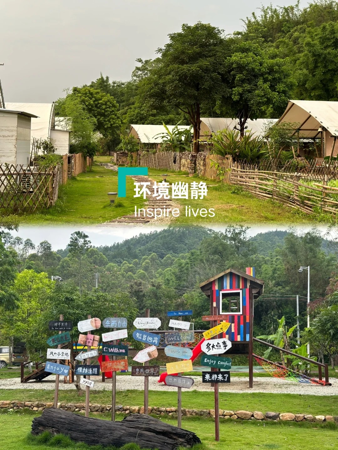 风之谷🏕️+万绿湖浆板🚣🏻_10_铲屎官-七岁Eric_来自小红书网页版.jpg