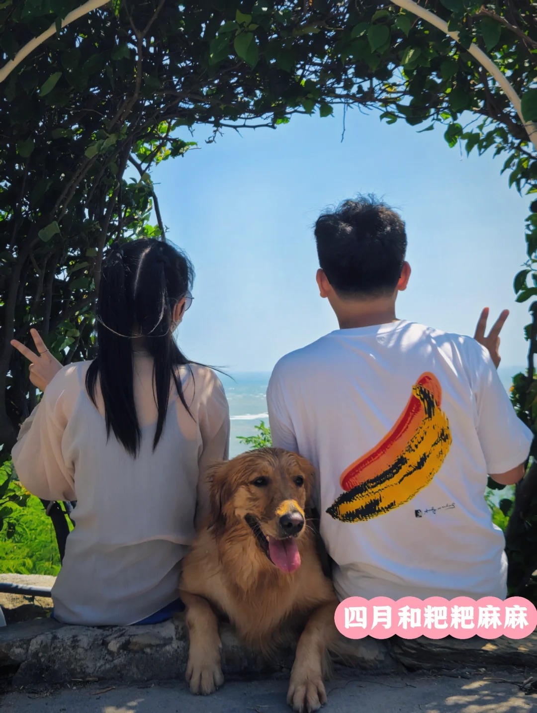 深圳狗狗聚会之带狗狗打卡中国zui美海岛🏝️_8_宠趣旅行_来自小红书网页版.jpg