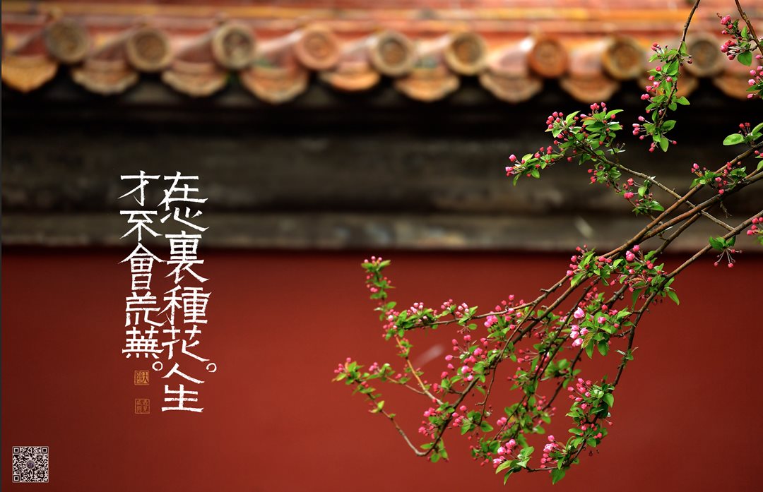 摄影3.png