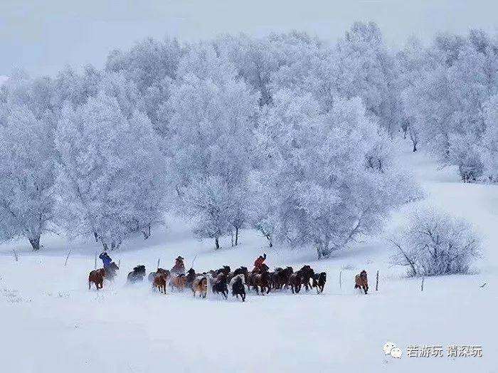 1220晚22日乌兰布统素装银裹赏美丽雪景越野车深入