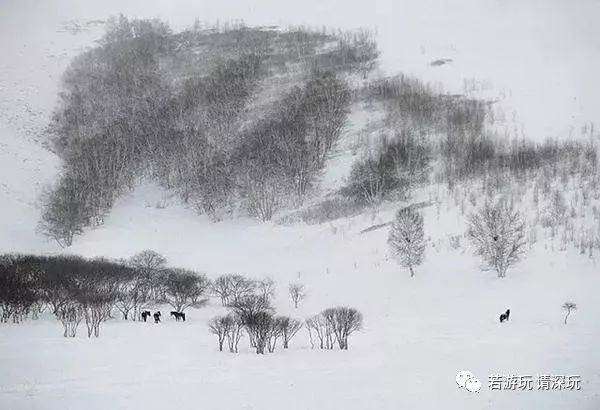 1220晚22日乌兰布统素装银裹赏美丽雪景越野车深入