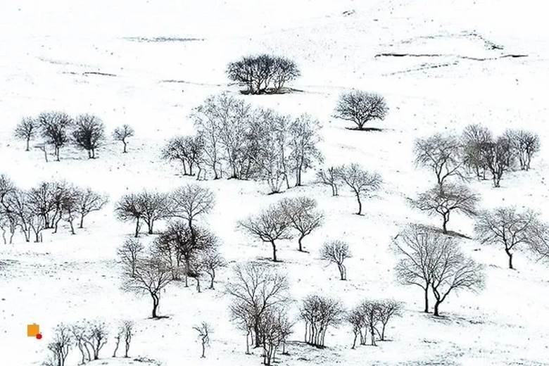 元旦3日活动|越野 乌兰布统|塞北雪乡-越野车驰骋