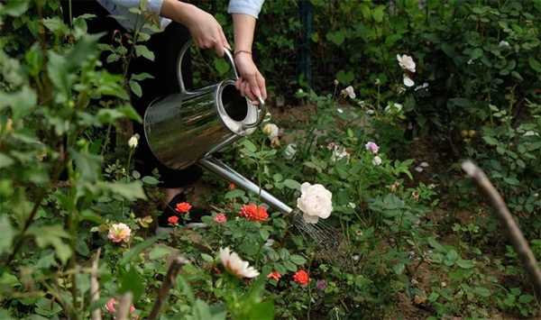 get hands dirty | 与植物对话,解锁"如何给植物浇水"的老大难题