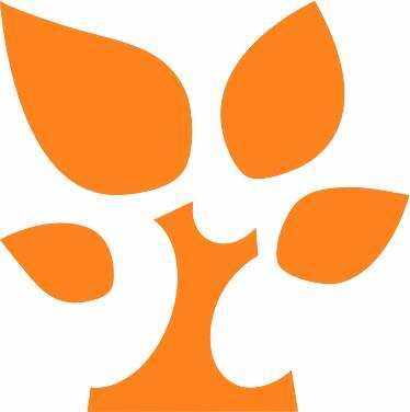 五月我们来深圳,金数据表单达人分享