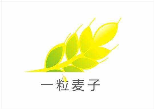 深圳一粒麦子文化传播有限公司
