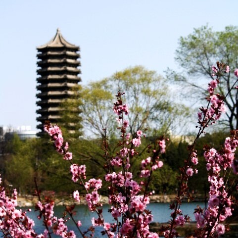  Teacher Chen, Peking University Institute of Advanced Research