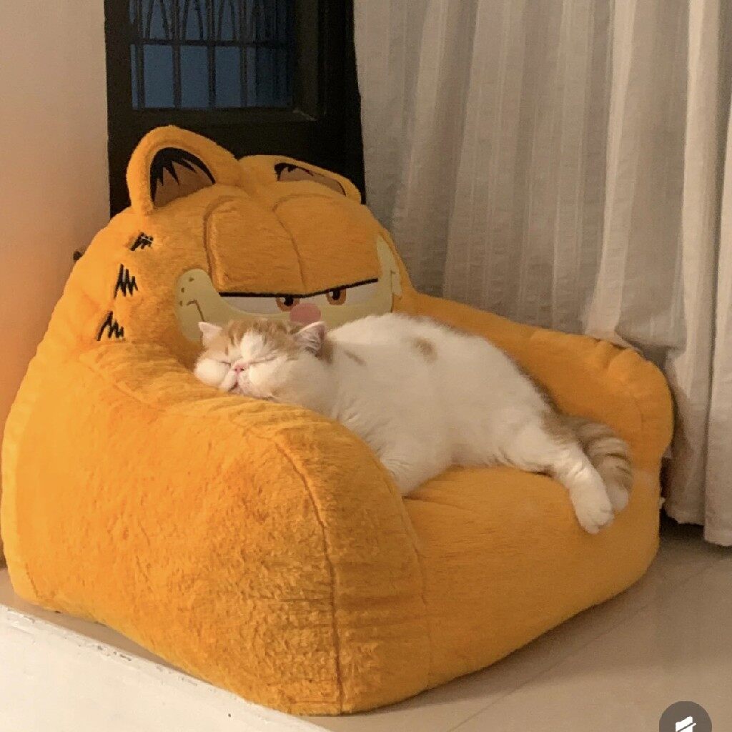 CC