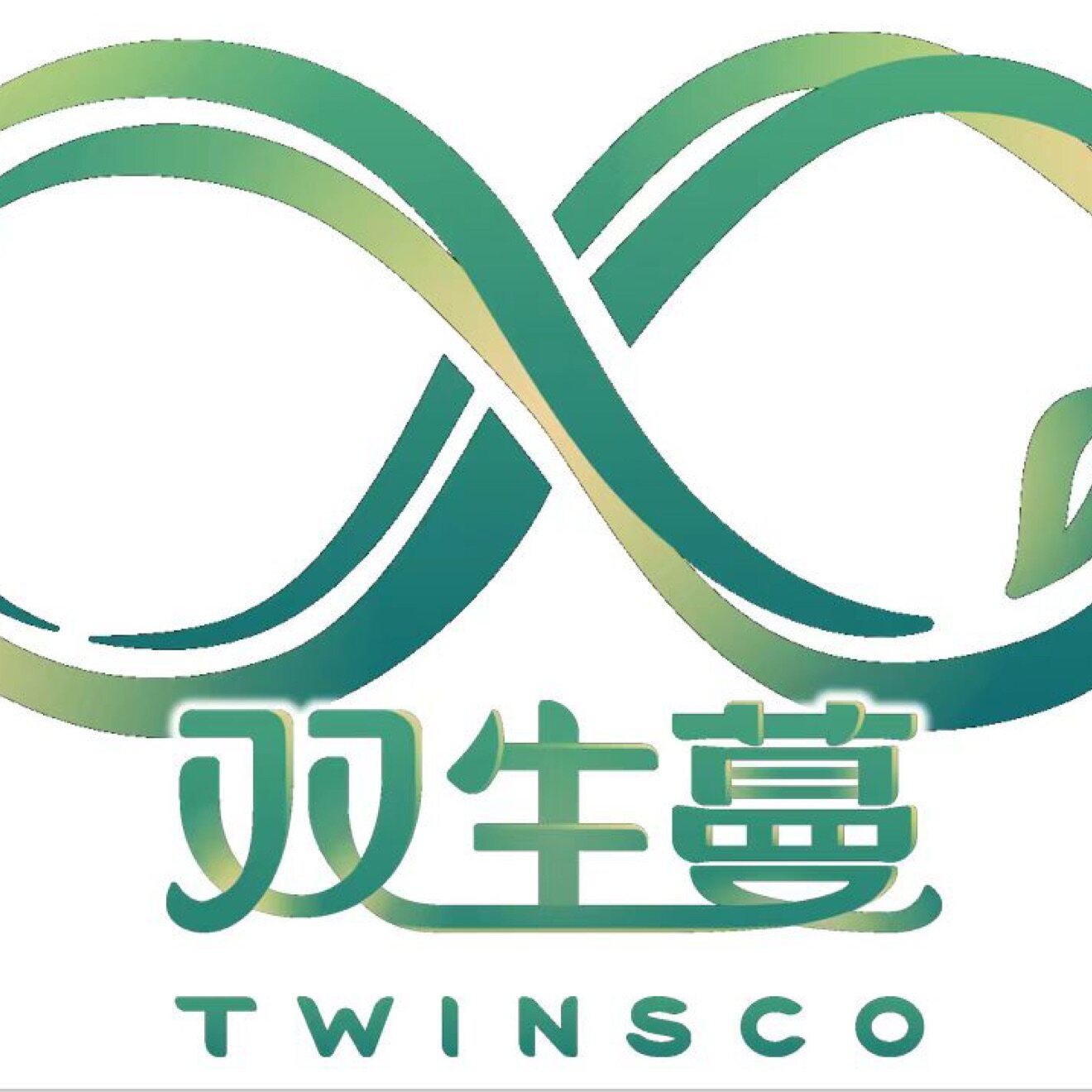 双生蔓商业咨询