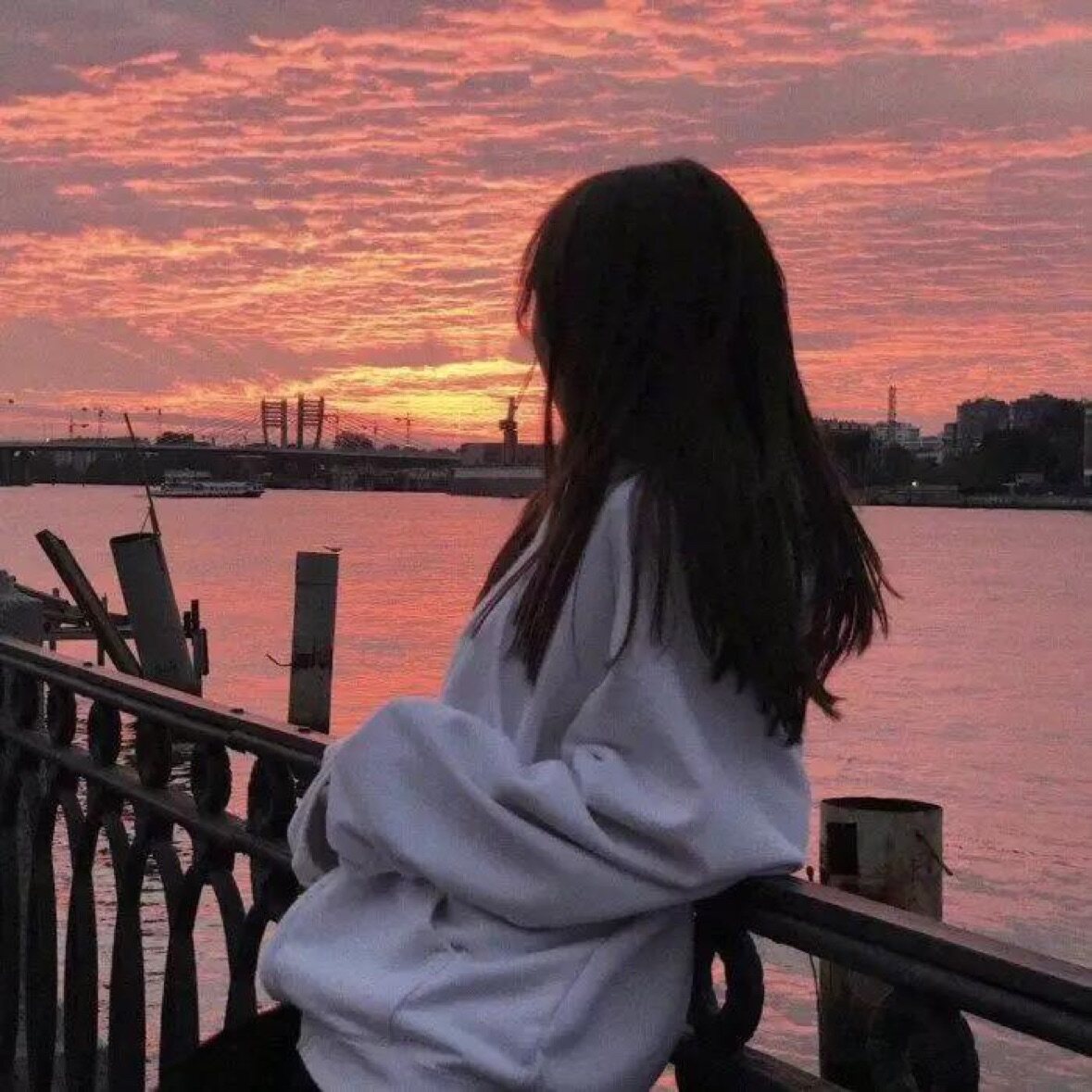 🦁
