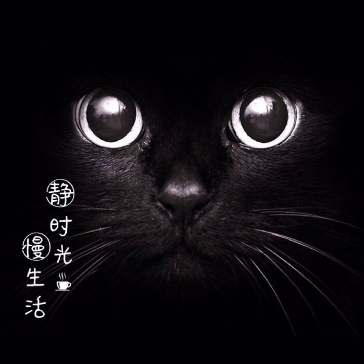 墨