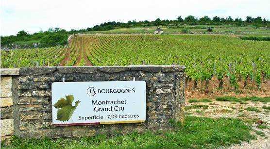 勃艮第(bourgogne)