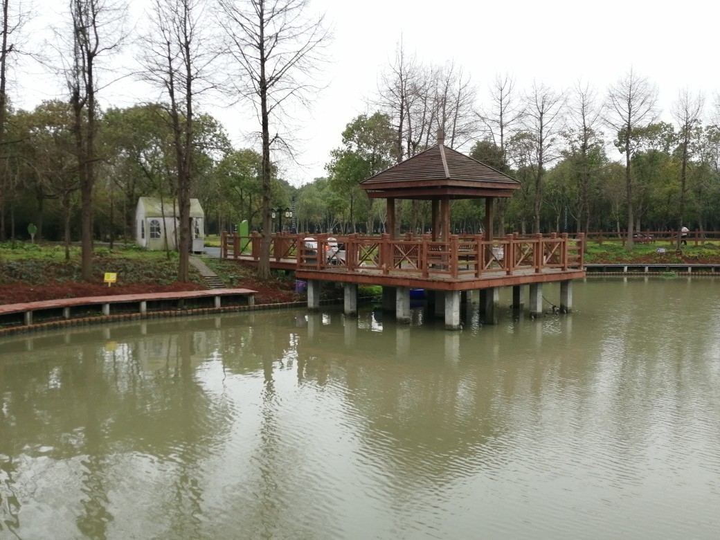 浦江郊野公園戶外燒烤親子活動