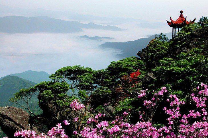 相約天台山賞千年杜鵑花海,走霞客古道探訪隋朝古剎(2天1晚)