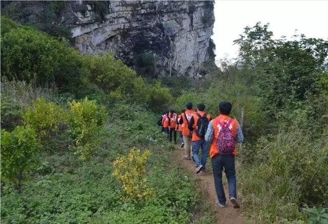 石笋石柱形成的原理又是什么_石笋石柱钟乳石图片(3)
