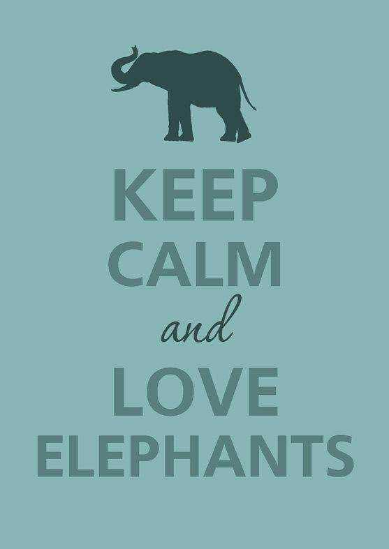 保护大象英文海报图片