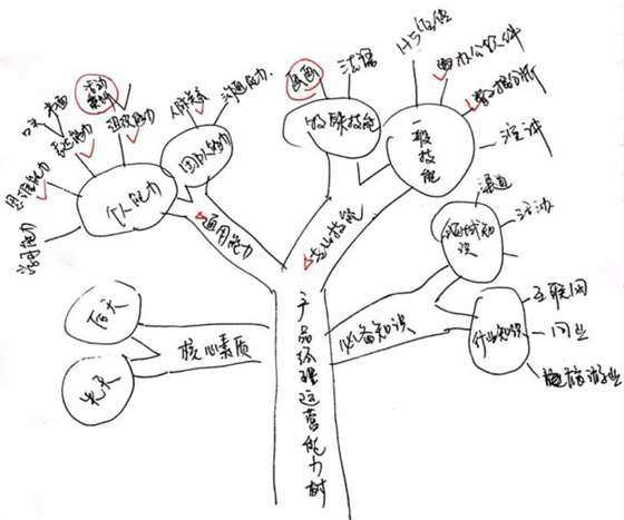 知識體系工作坊 | 沒方向,該怎麼做學習規劃?