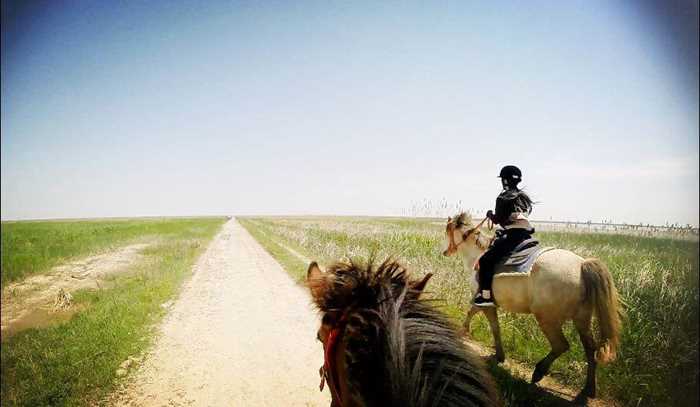 横沙岛:骑马 真人cs 自驾一日浪迹天涯