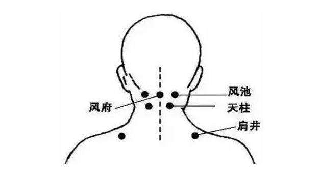肩颈详细部位图图片