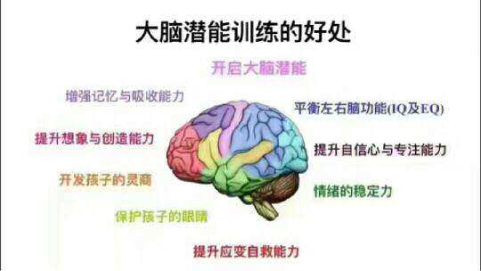 成都電視臺第二頻道 超越夢想——腦力世界盃電視大獎賽 報名通道開啟