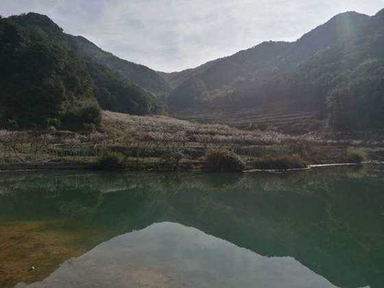 桃花岭古道图片