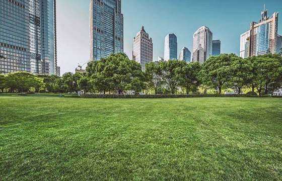位于陆家嘴金融城cbd的核心腹地,是上海市区内规模最大的开放式草坪