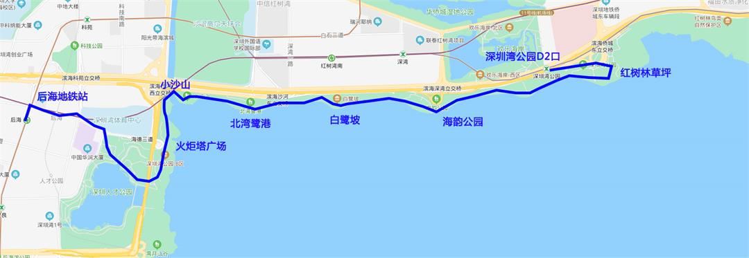 11号线去深圳湾公园图片
