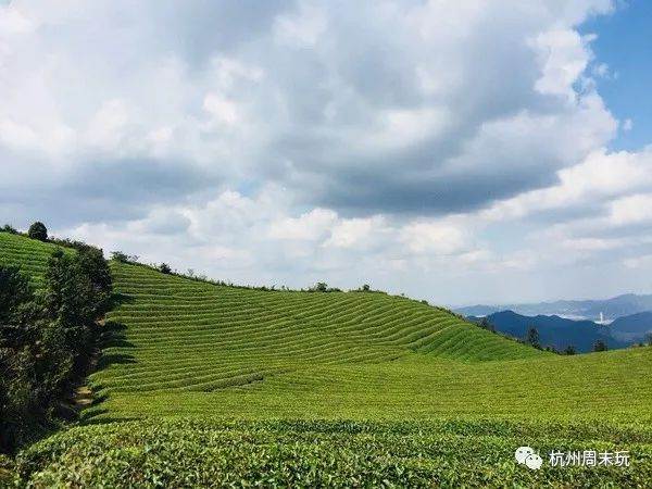 【轻装慢走 我们策划从古村到古道到山顶茶回再到梯田 休闲穿越 后