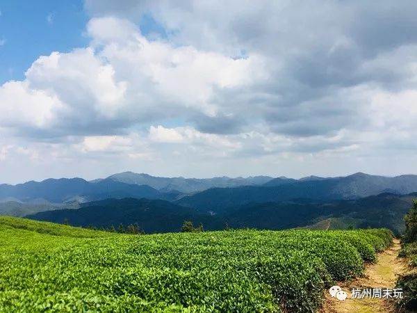 【轻装慢走 我们策划从古村到古道到山顶茶回再到梯田 休闲穿越 后