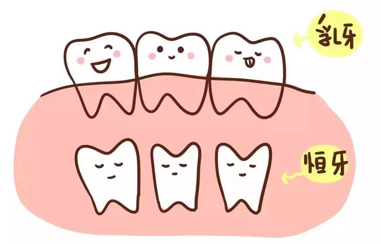 牙齿健康标准