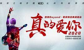 2020真的爱你-致敬BEYOND·黄家驹演唱会北京站