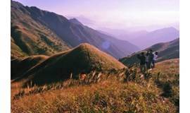 每周六日发团惠州大南山穿越、满山遍野芦苇荡下摄影、云中漫步斧头石、在路上才能感受沿途的美景