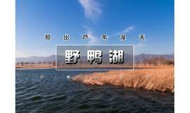 周末户外1日-野鸭湖｜北京城郊藏着的大西北の拍出芦苇漫天-大批网红聚集于此-2020火热打卡