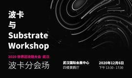 波卡与 Substrate Workshop l 2020 世界区块链大会 l 武汉 - 波卡分会场