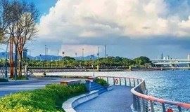 【特价】徒步深圳湾：观红树林，看深港公路大桥落日余晖