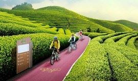 相约网红自行车公园，骑行最美茶海小径（杭州1天活动）