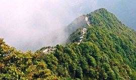 登深圳最高的山梧桐山，自然风光无限好（深圳活动）