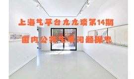 上海艺平台九九谈第14期：国内公共艺术问题探究