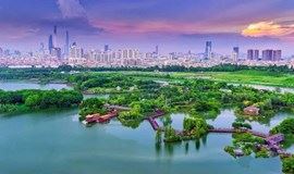 【单身活动】海珠湿地|探寻广州城市的绿心，岭南文化发源地（广州）